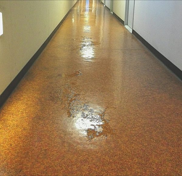 寮の廊下が雨で水浸しになってたって話