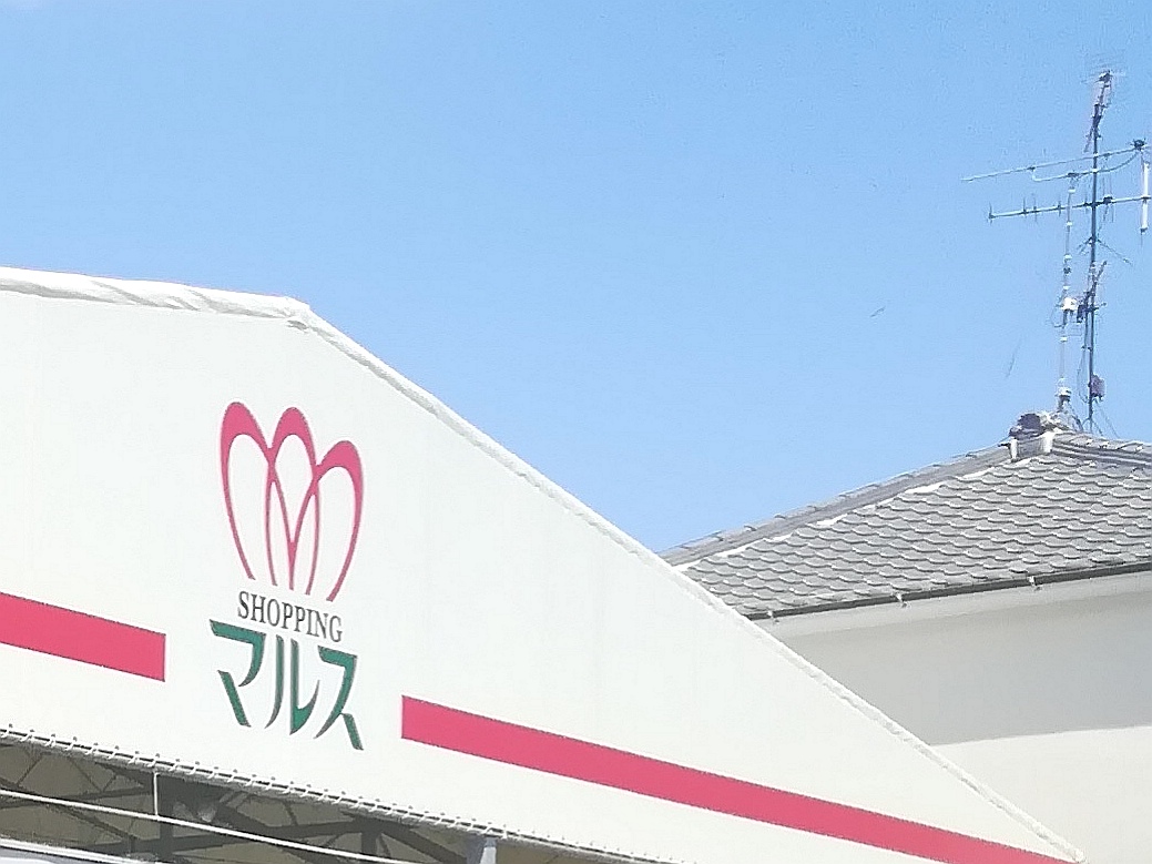 【東浦町石浜地域】食品スーパーマルス本店とゲンキー石浜店